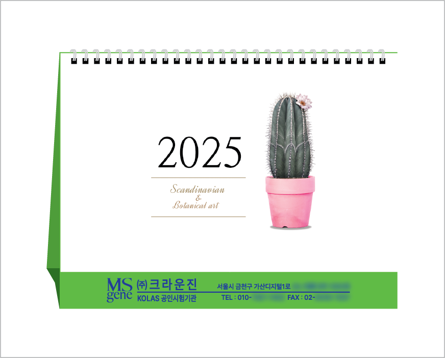 º¸Å´ÏÄà ¾ÆÆ® (Ź»ó´Þ·Â/Ä«·»´Ù)