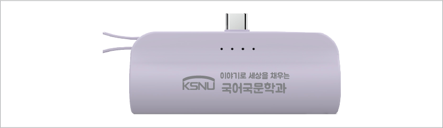 desleah �𼿶� �÷� 5000mAh 2in1 �̴� ��ŷ�� �������͸�